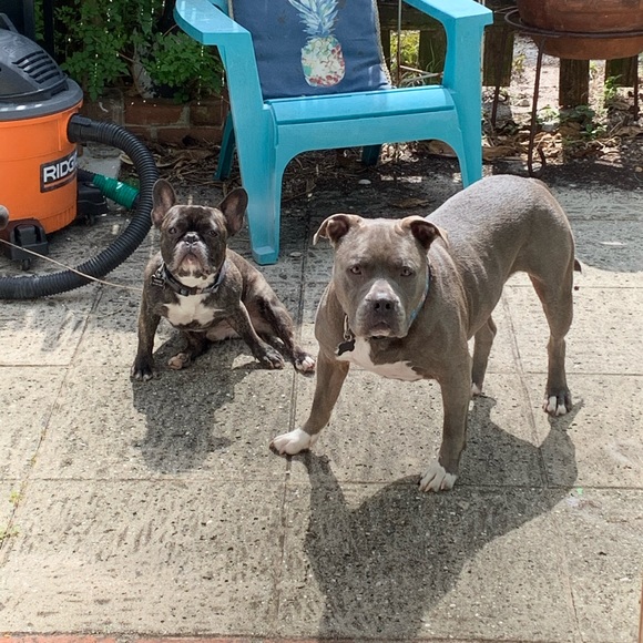 Meet your Posher, Andrew - Picture 1 of 1